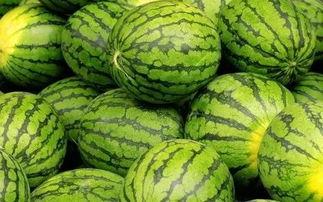 最大免费吃瓜网 第2张 最大免费吃瓜网 第2张